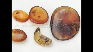 Křídový jantar SJ-43