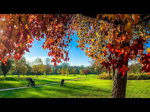 Golfclub Oude Maas Rhoon 4K Drone