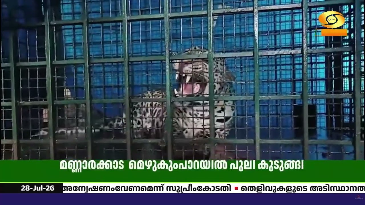 മണ്ണാർക്കാട് തെങ്കര മെഴുകുംപാറയിൽ വനം വകുപ്പ് സ്ഥാ