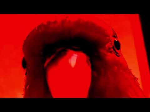 Red Bird meme (DOOM edition)