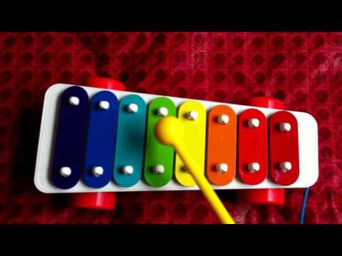 How to Play Happy Birthday To You song on a Xylophone