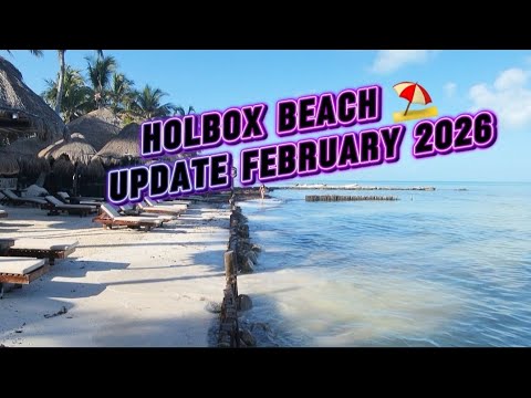 Holbox beach ⛱️ update for February 