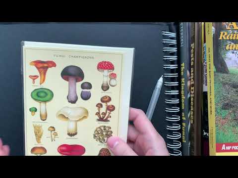 ASMR Introduction to Fungi with a Biology PhD Student