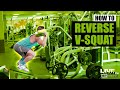 How To Do A MACHINE REVERSE V-SQUAT (Hammer Strength) | Exercise Demonstration Video and Guide