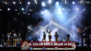 preview picture of video 'Baile Bucanera & Los Reales  EL COLOR  ( Milpa Alta 2014 )'