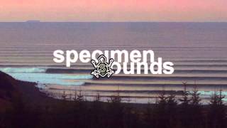 Helado Negro - Dance Ghost