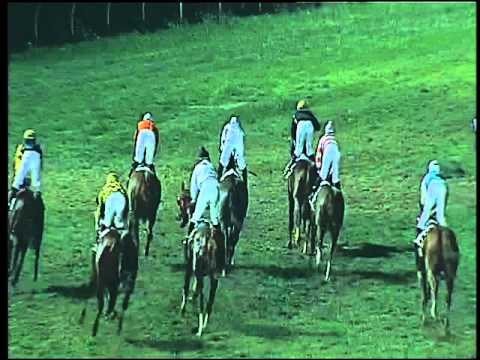 Galoppo 31/01/2016 - 7° corsa