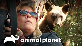 Thumbnail del capítulo