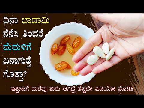 (ನಿತ್ಯ ಬಾದಾಮಿ ನೆನೆಸಿ ತಿಂದ್ರೆ ಏನಾಗುತ್ತೆ ಗೊತ್ತಾ?) Soaked almonds badam benefits | Badami uses Kannada