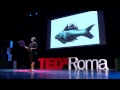 The tale of a city and its fish | Defne Koryurek | TEDxRoma