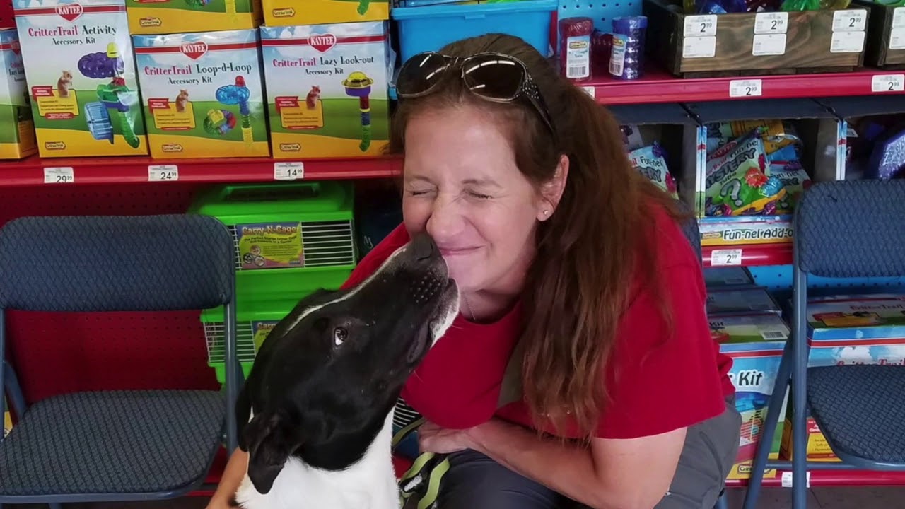 houston family 2s   HD 720p   HD 720p