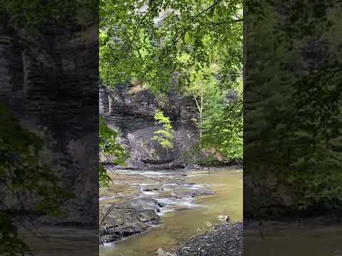 Gregorian chant - Alleluia - Exsultate Deo adjutori nostro