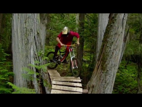 Life Cycles MTB (2k FHD)