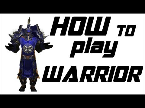 Pilav - IN-DEPTH WARRIOR GUIDE (Rank 1 Class Disscusion)