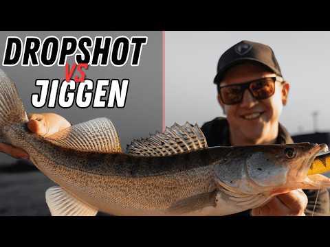 Dropshot fishing on the Rhine - Which method catches better?