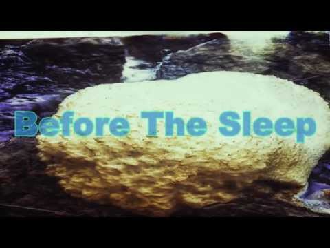 Mister Ego - Before The Sleep (Official Audio)