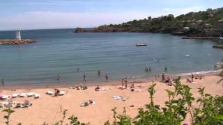 International Film & Video