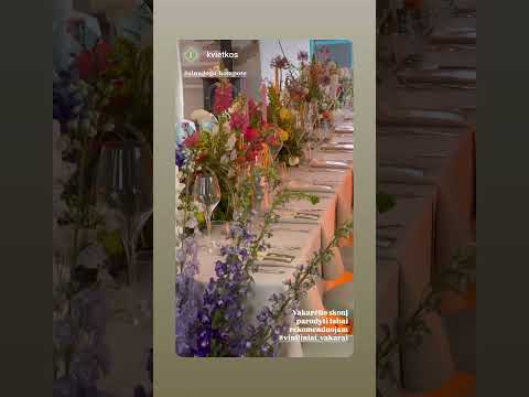 Viniliniai Vakarai #2