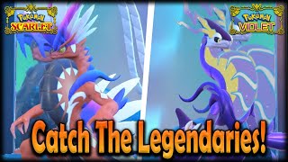 How to get Koraidon and Miraidon in Pokemon Scarlet and Violet! | Catch the  Legendaries!