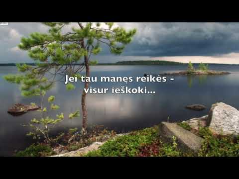 JEI TAU MANĘS REIKÊS...