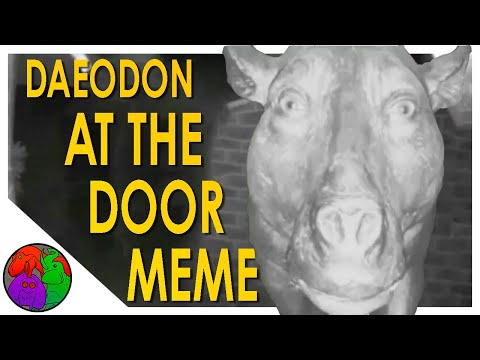 Daeodon at the Door EXPLAINED