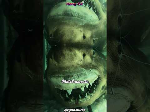 เขาเจอฉลามดองในสวนสัตว์ร้าง