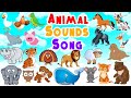 Animal Sounds Song Kids Learning Videos LittleKidsTV