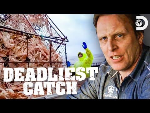 Most Massive Crab Hauls | Deadliest Catch | Discovery