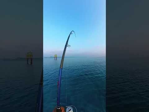 GT fishing 🎣 | Giant Trevally | Katchal island 🏝️