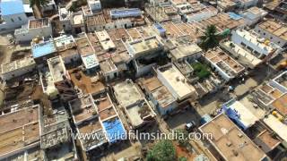 Anita Basarkatti video