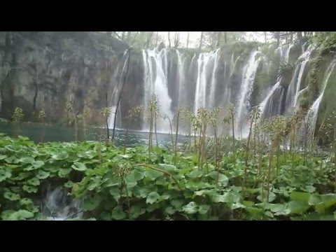 The Waters of Croatia