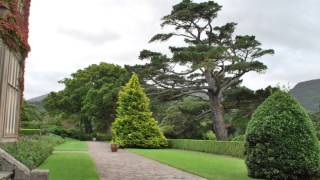 Irish Blessing-The Priests