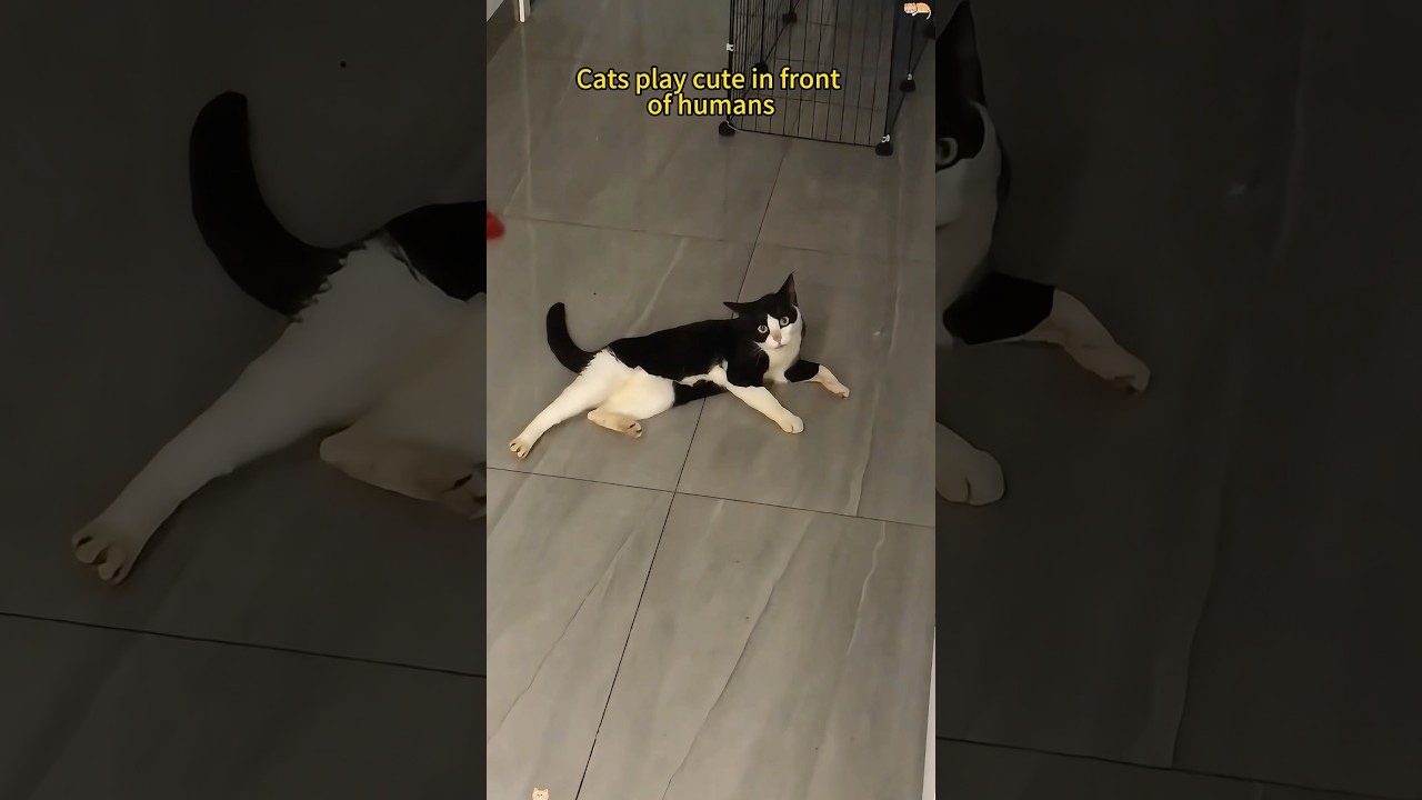 ��������� ����� �� ����� - ��� ������ ����