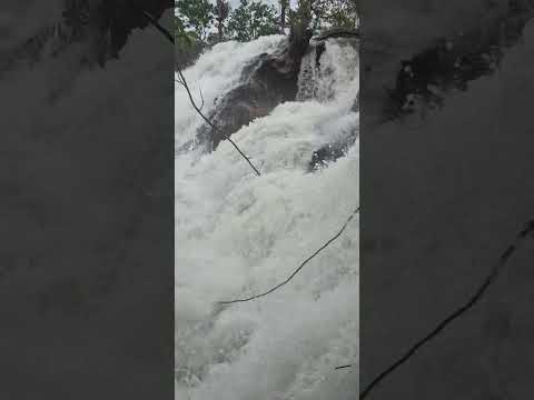 Cachoeira do Cavalo Queimado - Rio da Conceição Tocantins