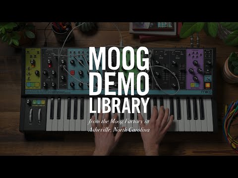 Matriarch | Patching Velocity & Aftertouch