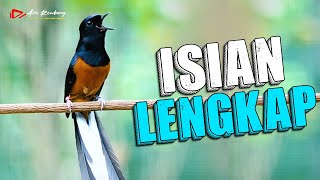 Download lagu MURAI BATU FUL MATERI ISIAN SUPER LENGKAP SUPER MEWAH mp3 Download lagu MURAI BATU FUL MATERI ISIAN SUPER LENGKAP SUPER MEWAH mp3