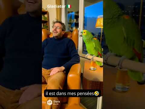 je l'adore 🤣 #viral #humour #comedy #humor #memes #drole #funny