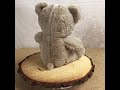 4311 11 Velvety Paw Print Bears