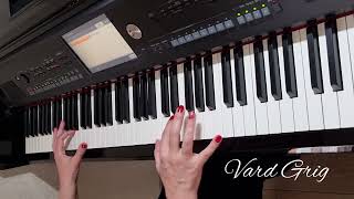 Arnem Elnem~Piano cover Vard Grig (2022)