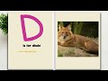 ABC Animal Rhymes ABC Animals How Many Can You Name Volume 4 Relaxing Children Stories