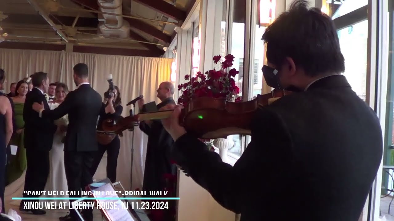 Promotional video thumbnail 96 for Xinou Wei Strings