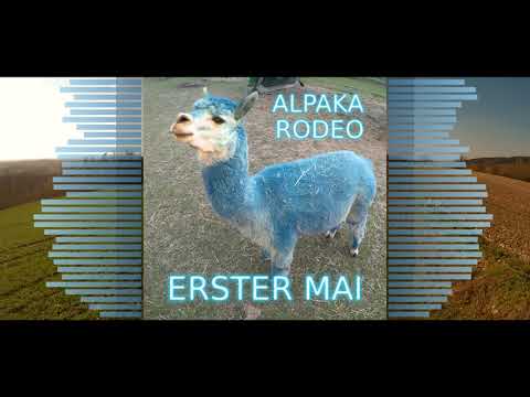 Alpaka Rodeo - Erster Mai