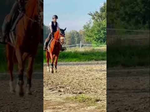 She’s so elegant 😍