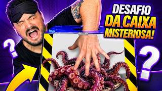 DESAFIO DA CAIXA MISTERIOSA - No fim temos apenas o caos!