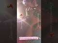 Tamil 2022 New Video Natrampalli Adalum Padalum Nataliya Hot Song Record Dance Sexy Masala Videos