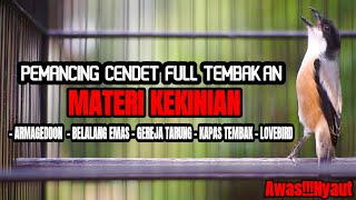 Download lagu TEMBAKAN CENDET GACOR MATERI KEKINIAN BIKIN CENDET IKUT BONGKAR MATERI mp3 Download lagu TEMBAKAN CENDET GACOR MATERI KEKINIAN BIKIN CENDET IKUT BONGKAR MATERI mp3