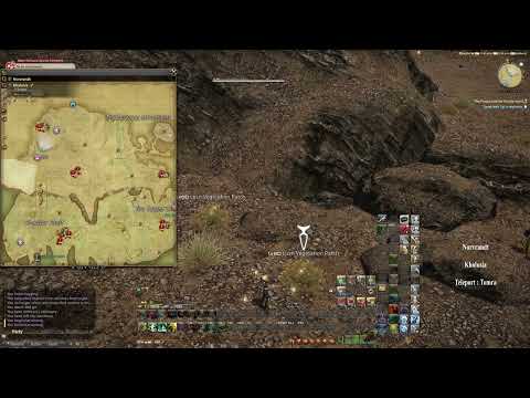 Final Fantasy XIV / 14. Map Location 2023 . Dwarven Cotton Boll  – Botanist