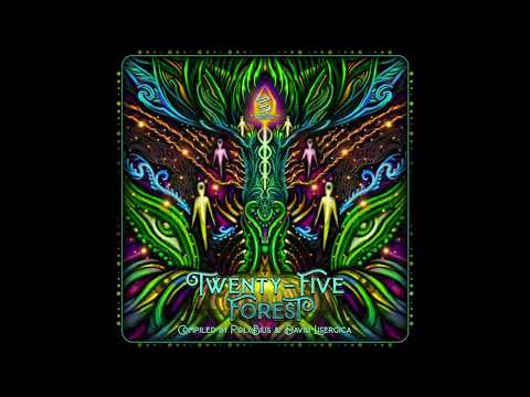 Hallupsynagogic & Retohmorgon - Three Wizards Of Swamp