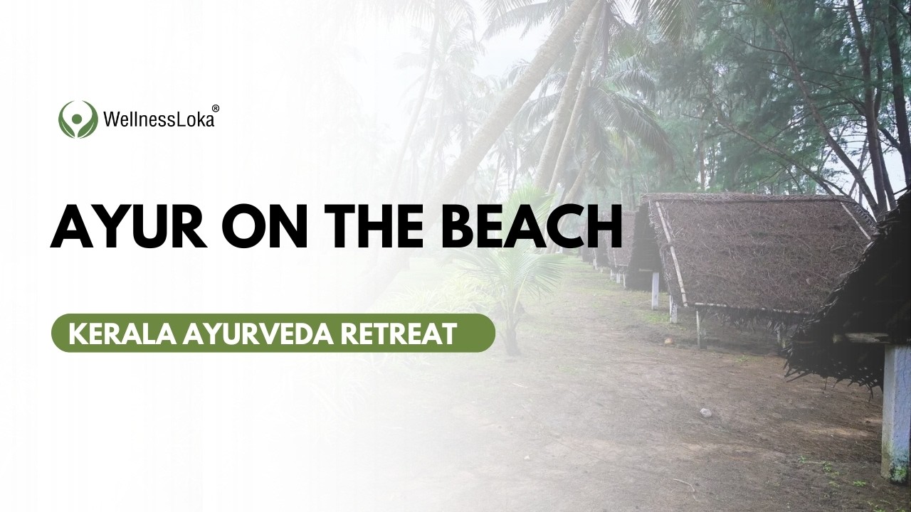 Kerala Cottage Video