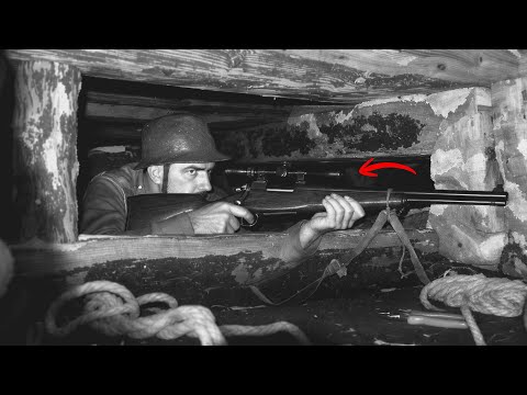 They Never Looked Up — How a Farmer Turned Silos Into Deadliest Sniper Nests of WWII